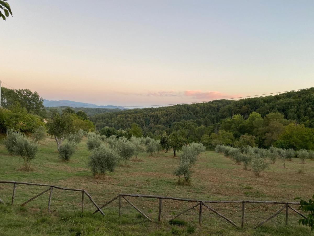 Agriturismo Borgo Serafino マンゴーネ エクステリア 写真